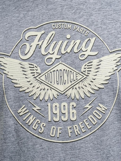 Футболка мужская арт. 02376/Moto - F5 фото 2