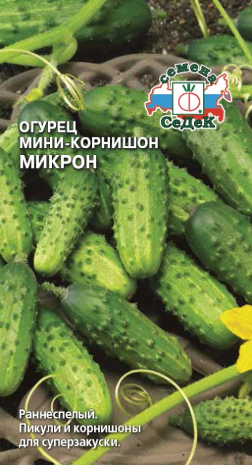 Огурец Микрон 0,5г (СеДеК)