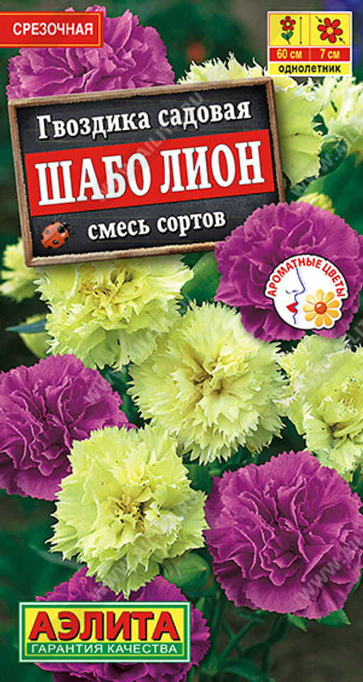 Гвоздика садовая Шабо Лион, смесь сортов
