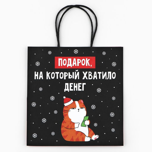 Цена за 2 шт. Пакет подарочный новогодний «Подарок», 22×22×11 см