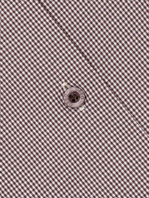 Сорочка мужская короткий рукав GREG 514/209/7474/1p  фото 2