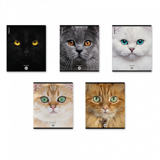 Цена за 5 шт. Тетрадь общая ученическая ErichKrause Cats, 96 листов, клетка, матовая ламинация_MIX-PACK фото 2