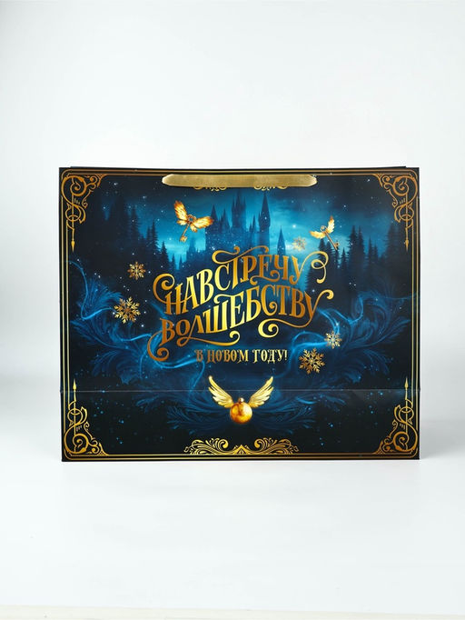 Пакет новогодний подарочный ламинированный «Волшебство», Гарри Поттер, XL 49×40×19 см