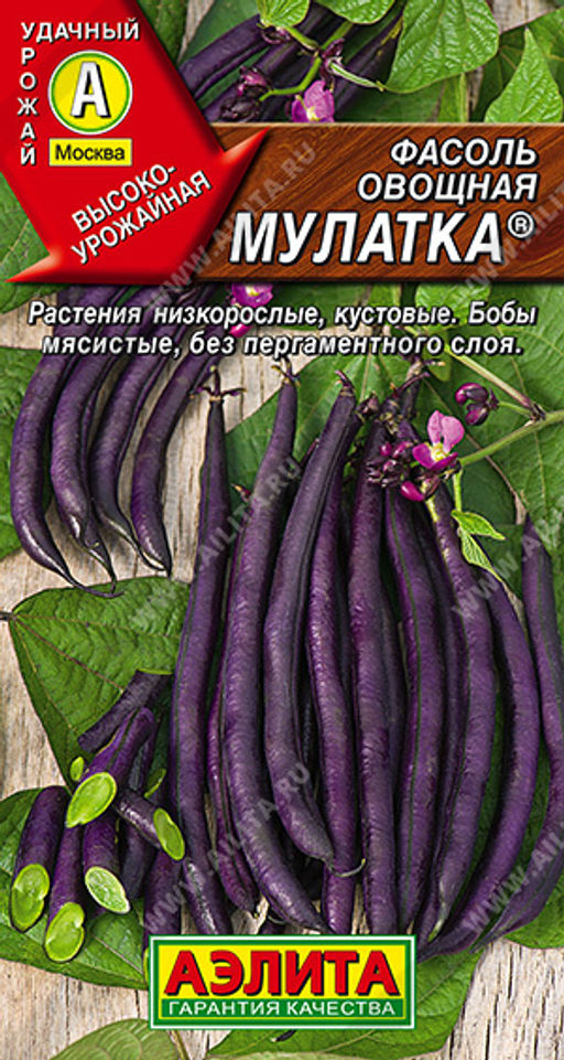 Фасоль овощная Мулатка (2030