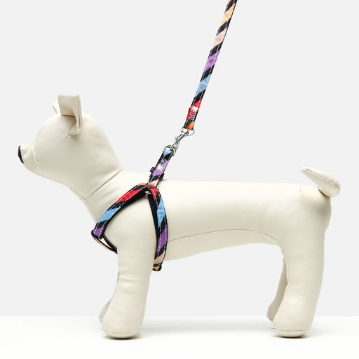 Комплект амуниции двухслойный, размер S, поводок 120 х 1 см, ОШ 24-38 см, ОГ 29-41 см, разноцветный - Пижон фото 6