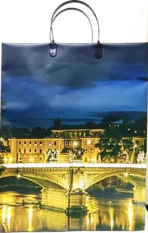 9928 Сумка пластик. BAL 142 (32*42*10см) большая,Мост ночью в огнях*20