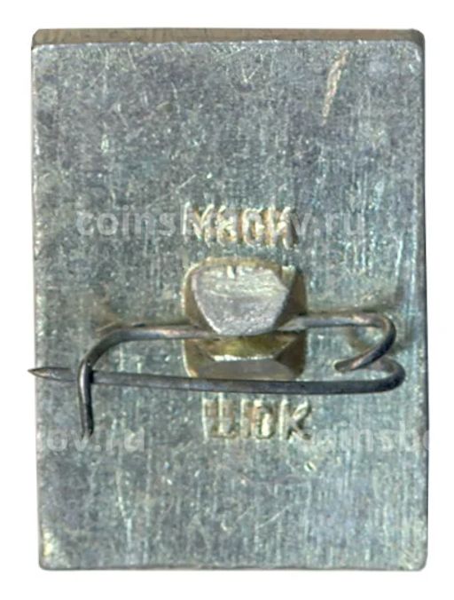 Значок Владимир