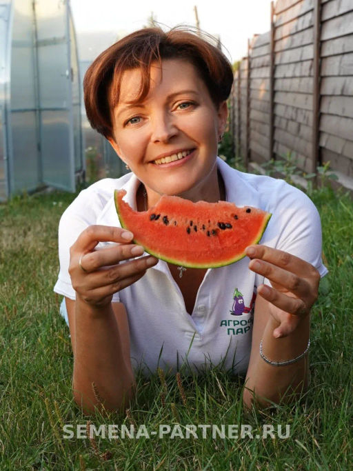 Арбуз Динамит - Партнер фото 3