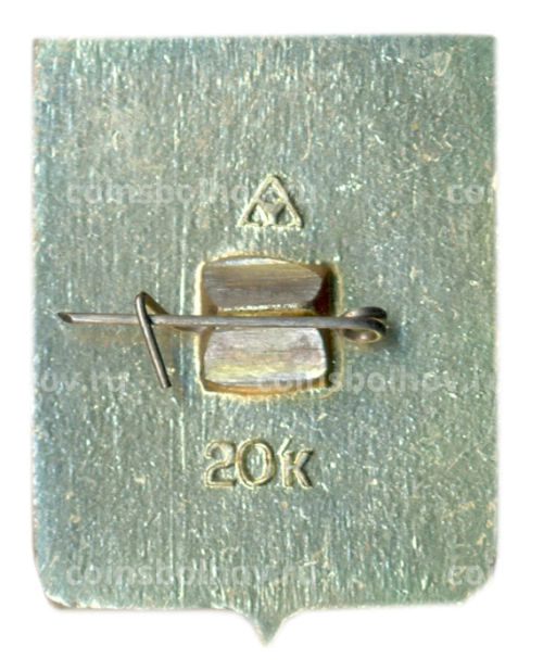 Значок Судогда