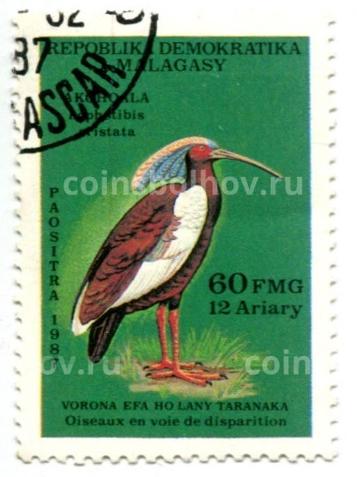 Марка Чубатый ибис 1987 год Мадагаскар