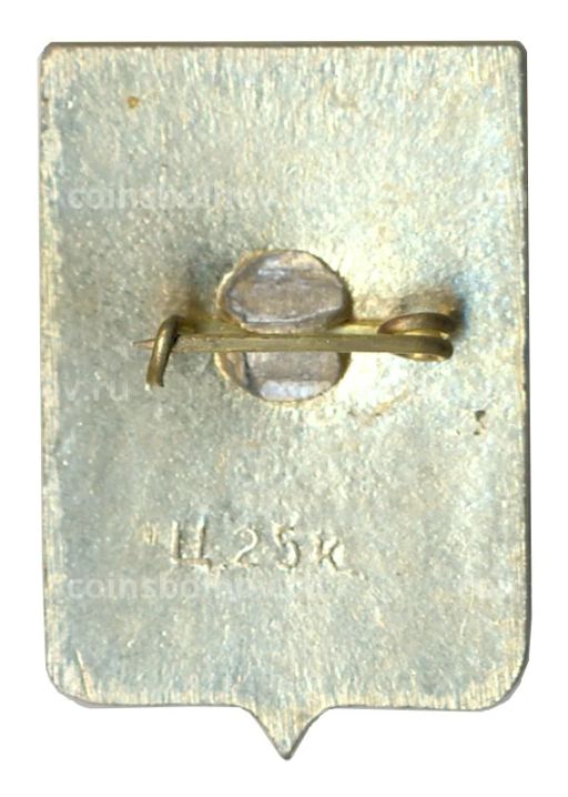 Значок Боровичи