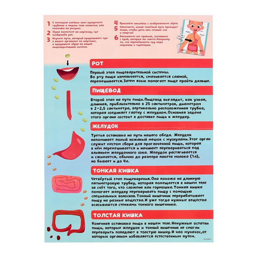 Набор для опытов Как я ем? - Эврики фото 5