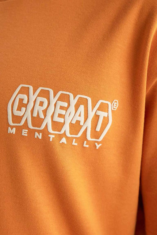 Футболка из плотной ткани обычного кроя с круглым вырезом и принтом на спине с короткими рукавами - Defacto фото 9