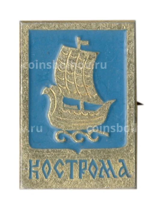 Значок Кострома