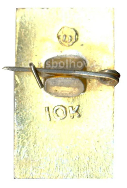 Значок 100 лет со дня рождения В.И.Ленина