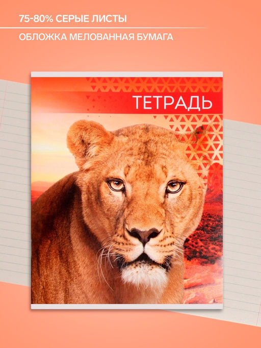 Цена за 10 шт. Тетрадь 48 листов в линейку, Calligrata Дикие кошки, МИКС  фото 2