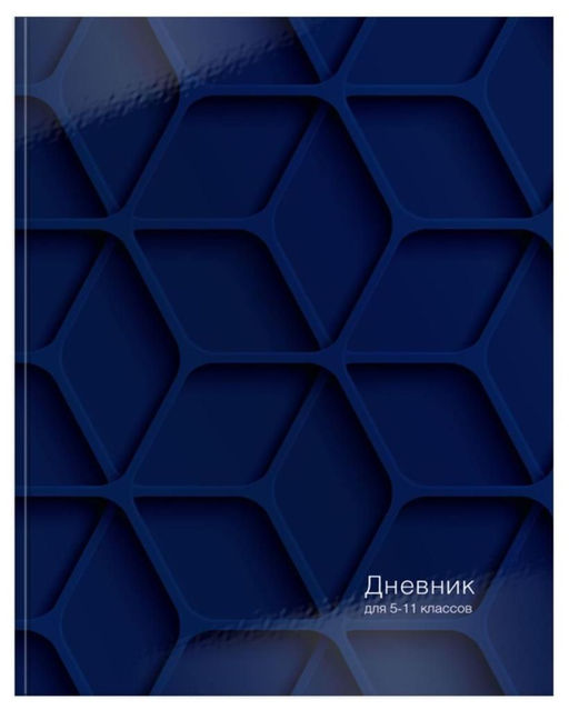 Дневник 5-11 класс, ОБЪЕМНАЯ ГРАФИКА гл. лам.