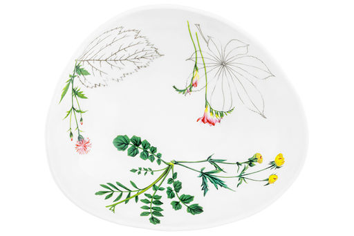 Салатник 20*17,5*6 см 850 мл Ботанический атлас - Elan gallery фото 24