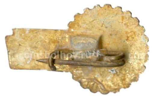 Значок Всероссийское общество изобретателей и рационализаторов (ВОИР)