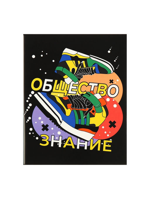 Набор предметных тетрадей Calligrata TOP «Кеды», 12 предметов, 48 листов, со справочным материалом, картонная обложка, глянцевая ламинация, блок офс�...