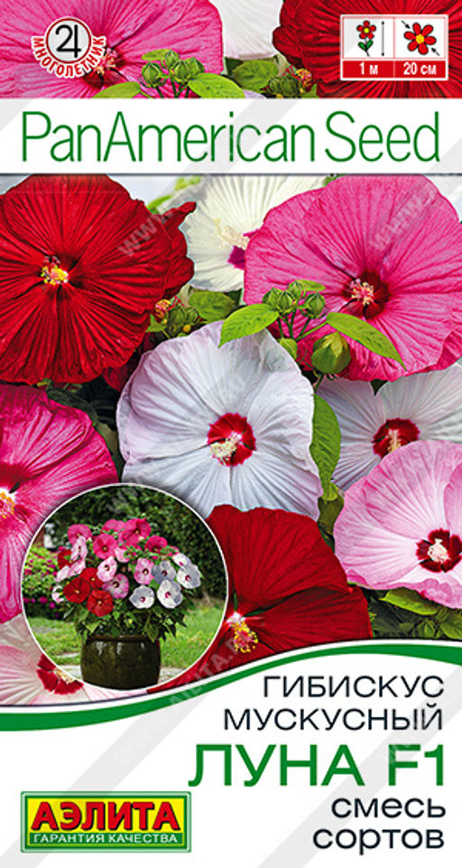 2005A Гибискус мускусный Луна F1, смесь сортов 3шт