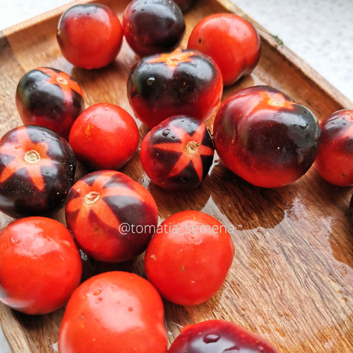 Синие замшевые туфли - Tomatia фото 2