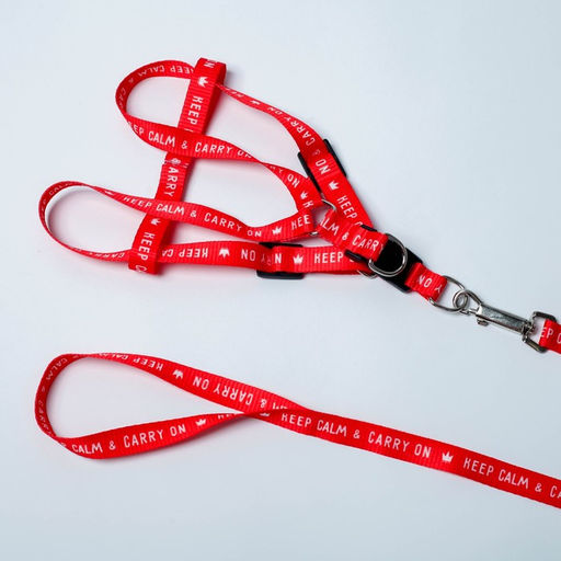 Комплект Keep calm & carry on, шлейка 36-49 см, поводок 120х1,5 см - Пушистое счастье фото 3