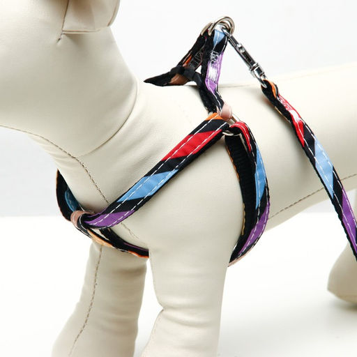 Комплект амуниции двухслойный, размер S, поводок 120 х 1 см, ОШ 24-38 см, ОГ 29-41 см, разноцветный - Пижон фото 2