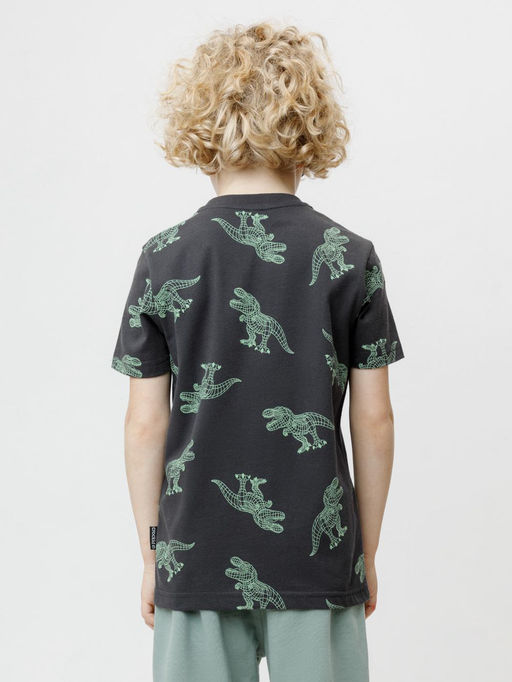 КР 303007/антрацитовый 3902 Н200 к702 фуфайка (футболка) для мал