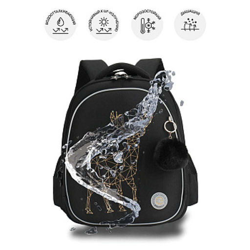 RAz-686-4 Рюкзак школьный с обвесом - Grizzly фото 21