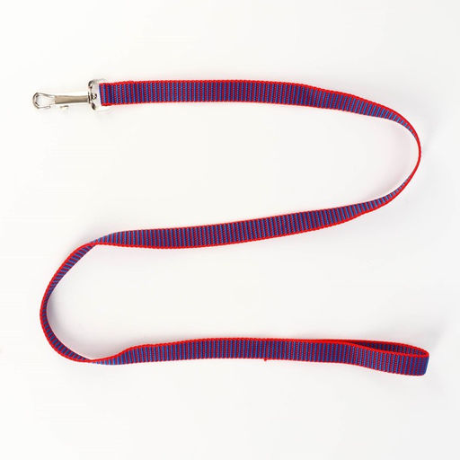 Комплект амуниции рельефный, поводок 120 х 2 см, ОГ 44-50 см, красно-синий - Пижон фото 6