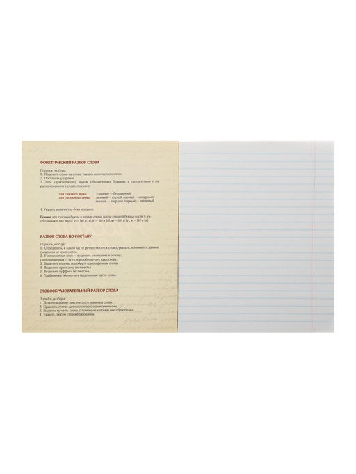 Цена за 10 шт. Тетрадь предметная, 48 листов в линейку, Calligrata, Неон. Русский язык  фото 4