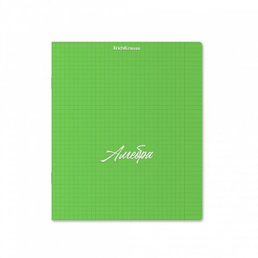 Тетрадь 48л. NEON "Алгебра" зеленая (59552, ErichKrause) пластиковая обложка
