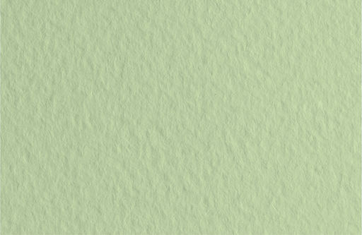 Fabriano Бумага для пастели Tiziano 160 г/м2 A1+ 70 х 100 см лист 10 л. Verduzzo/Светло-зеленый 52811011