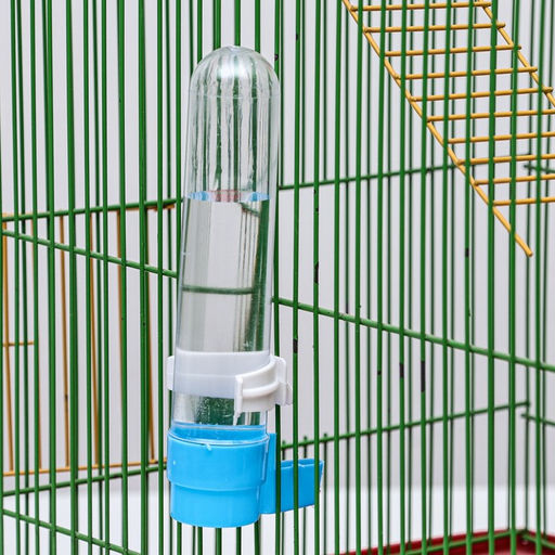 Поилка для птиц 3,3 х 19 см, 120 мл, синяя