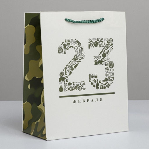 Цена за 2 шт. Пакет подарочный ламинированный, упаковка, «23 февраля», MS 18×23×10 см