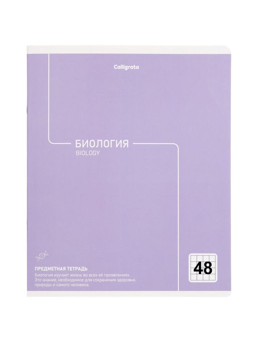 Комплект 12 предметных тетрадей 48 листов, справочная информация, 60 г, Пастель
