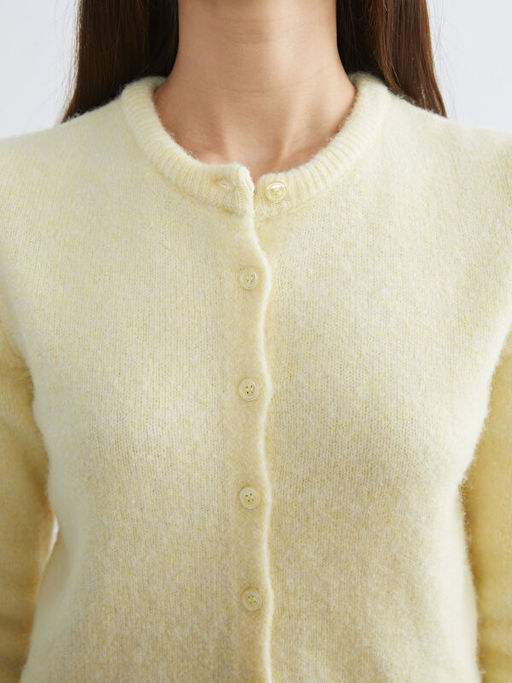 Bisiklet Yaka Y?n Kar???ml? Kad?n Triko H?rka