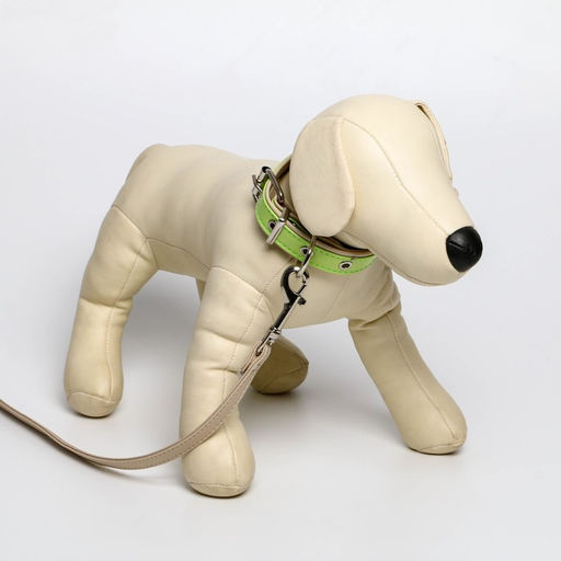 Комплект ошейник (58х2.5 см) и поводок (130х1.4 см) из экокожи, салатовый с бежевым - Пушистое счастье фото 7