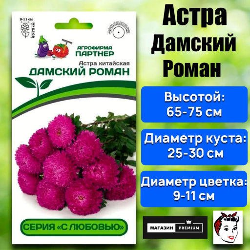 Астра китайская Дамский Роман - Партнер фото 2