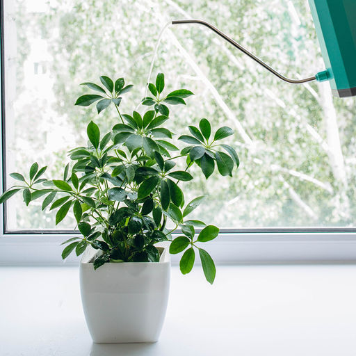 Цена за 2 шт. Кашпо для цветов, 15×15 см, 2.5 л, пластик, белое