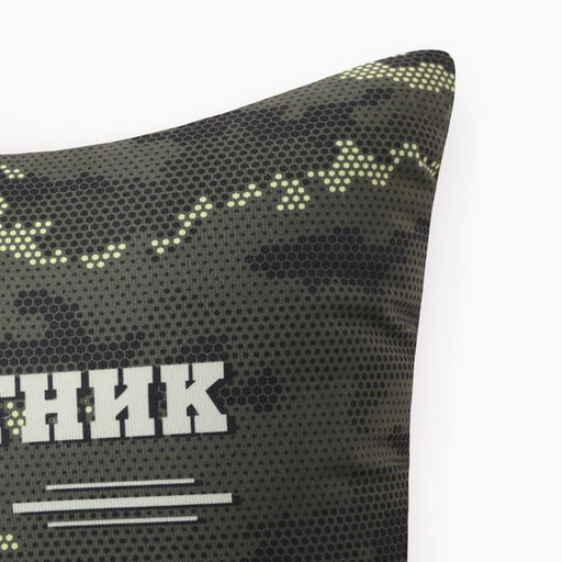 Подушка декоративная Этель. Защитник и опора, 40?40 см, велюр