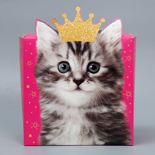 Коробка подарочная складная, упаковка, «Котик», 25 х 25 х 10 см