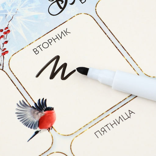 Цена за 2 шт. Планер магнитный, А5 и стирающийся маркер Волшебство в Новом году! С Дедом Морозом - Artfox фото 5