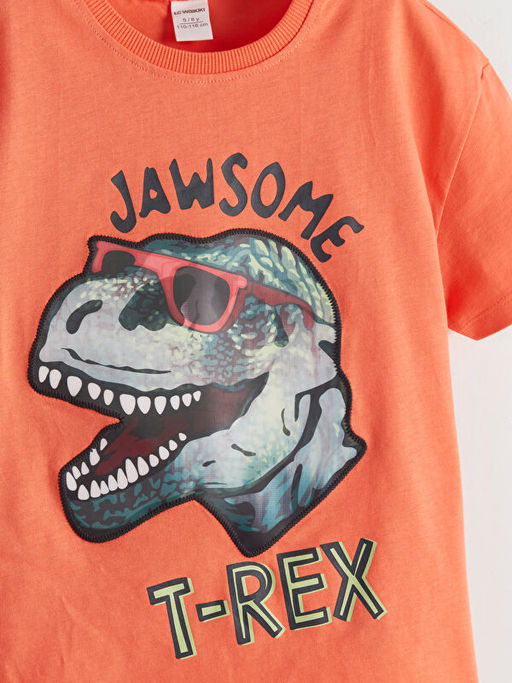 Dinozor Bask?l? Penye Erkek ?ocuk Ti??rt