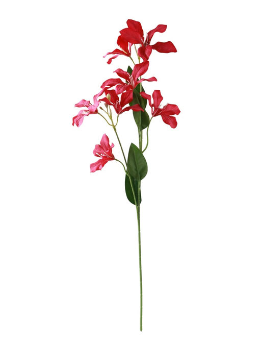 Цветы искусственные «Баухиния пёстрая», d=13 см, h=71 см, малиновые