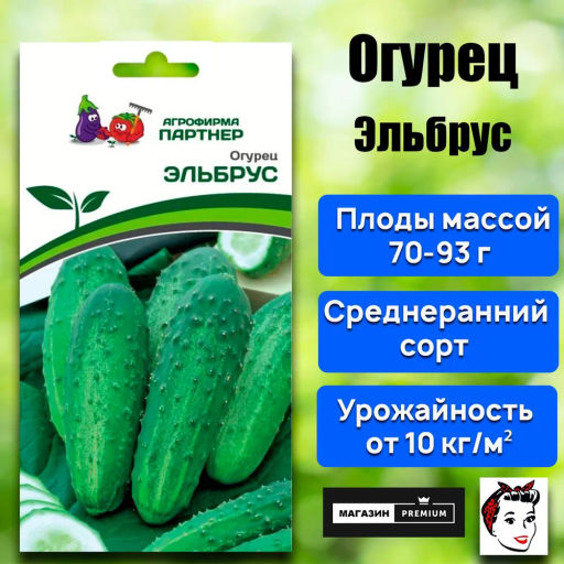 Огурец пчелоопыляемый Эльбрус - Партнер фото 2