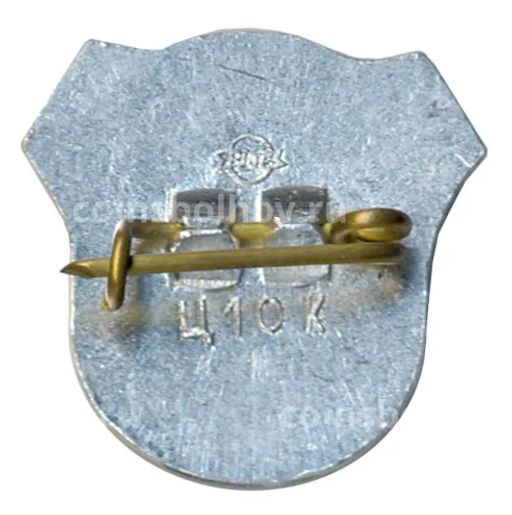 Значок Рига