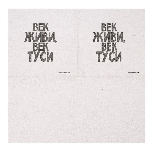 Салфетки бумажные однослойные «Век живи, век туси» 24×24 см, набор 20 шт.