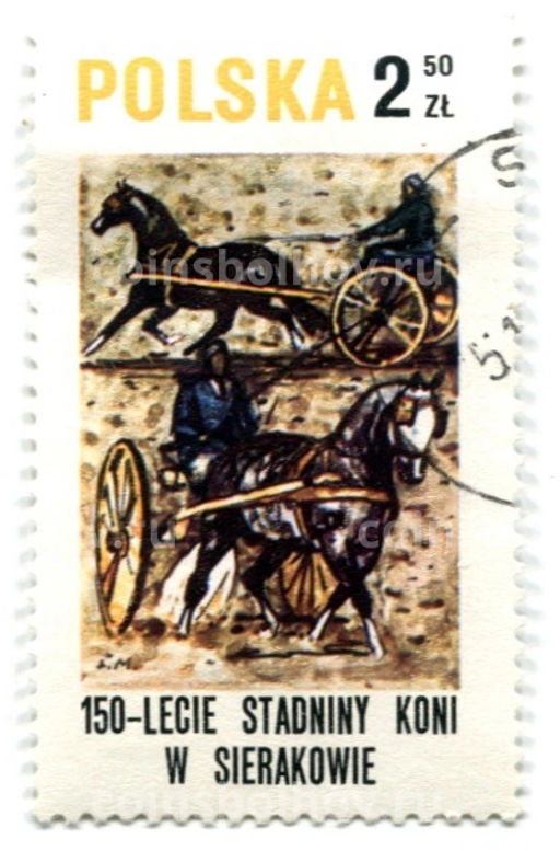 Марка 150 лет объездке лошадей в Серакове (упряжка) 1980 год Польша